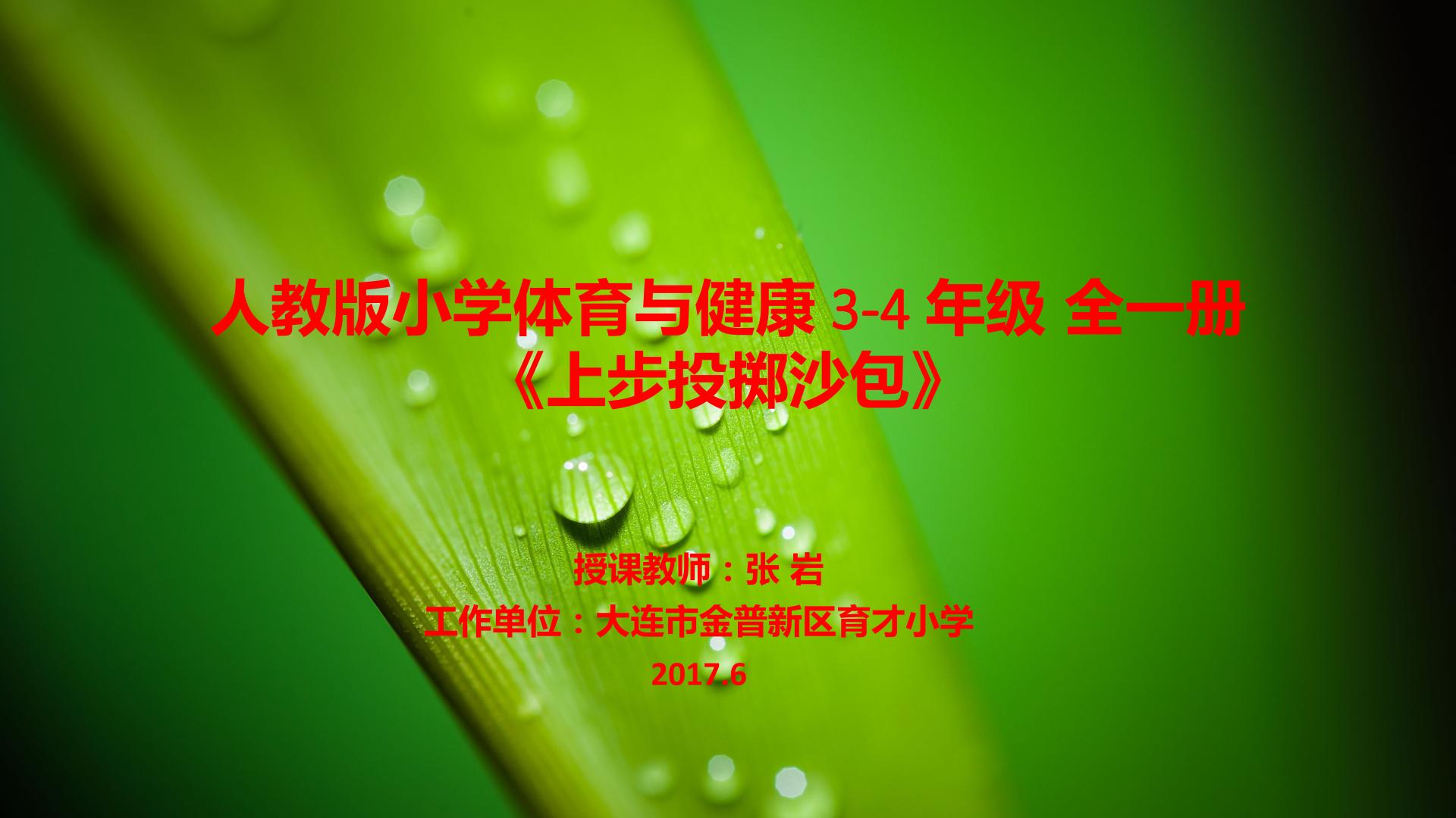 2.上步投掷沙包（或垒球）