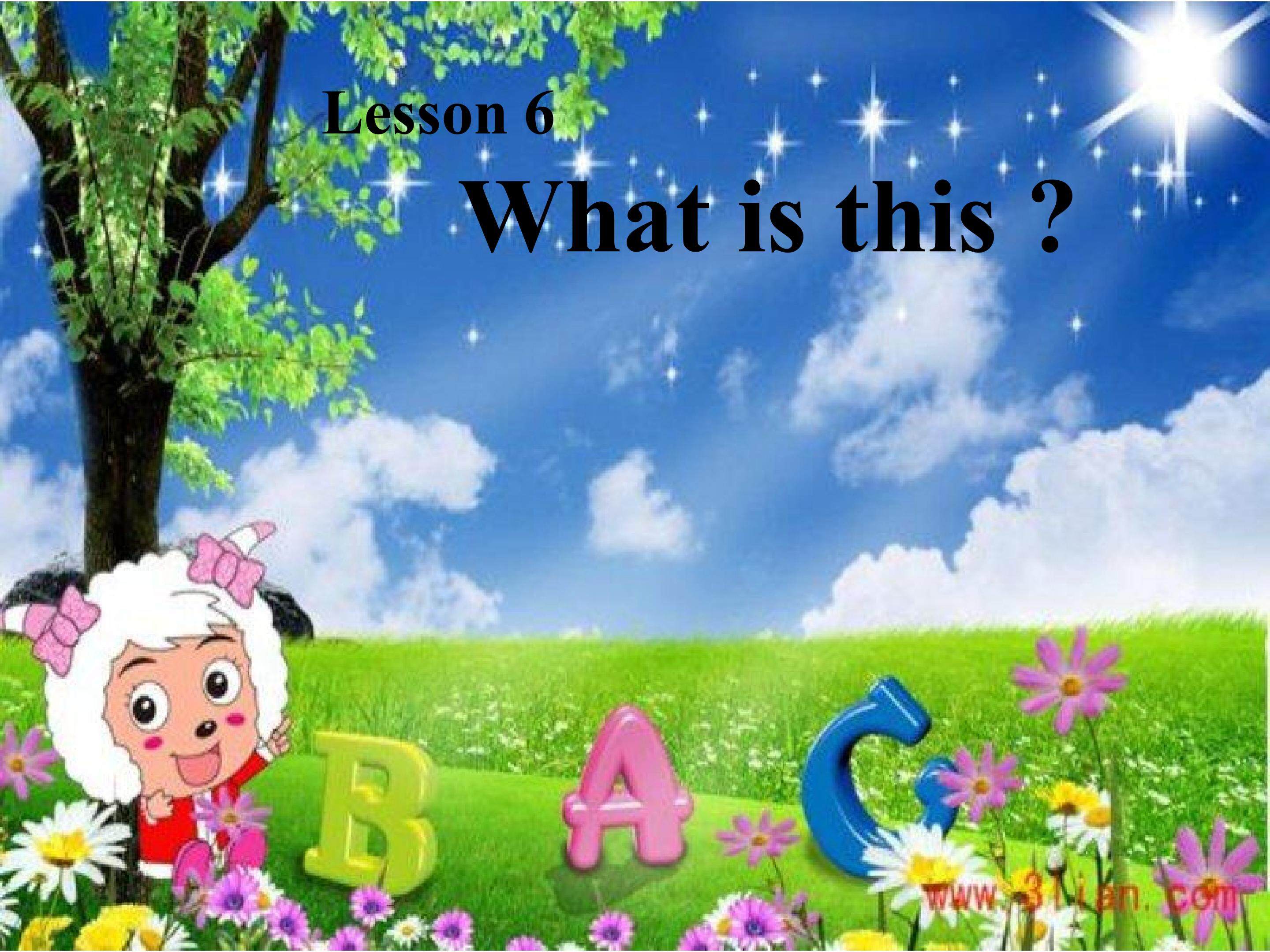 接力版三年级上册Lesson 6 What is this ?