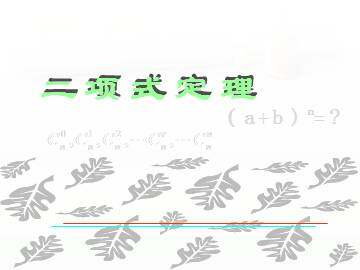 二项式定理_课件8