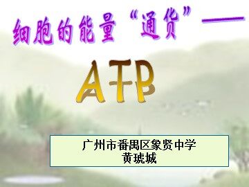 生物高中必修1第五章第二节课件2