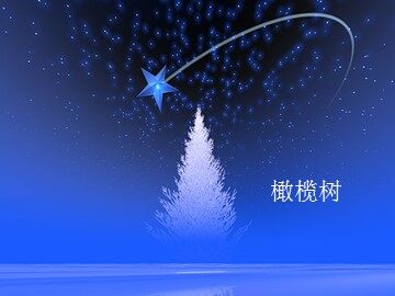 橄榄树_课件1
