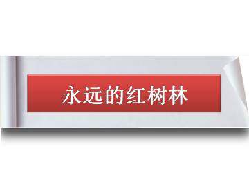 永远的红树林_课件1