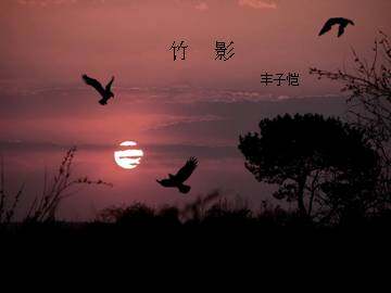 竹影_课件14