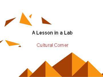 A Lesson in a Lab_课件9