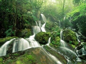 ○ 实施可持续发展战略