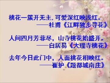 18*  一棵小桃树