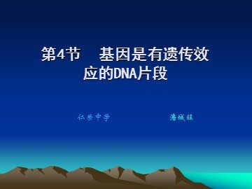 生物高中必修2第三章第四节课件4