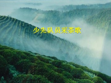 少年队员采茶歌_课件1