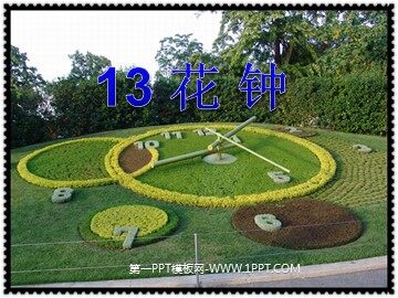 13 花钟