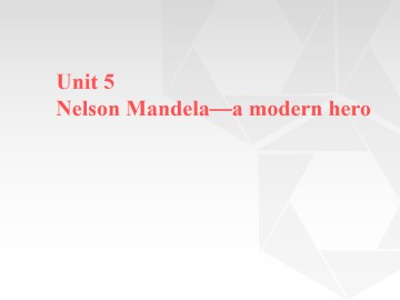 Nelson Mandela - a modern hero_课件31