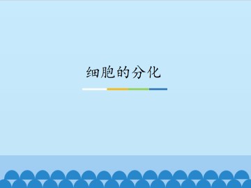 细胞的分化_课件1