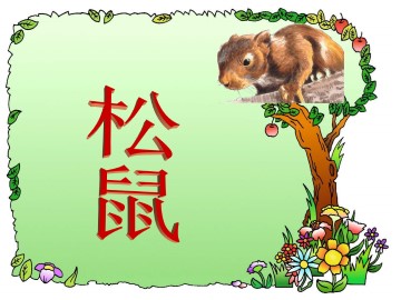 松    鼠_课件1