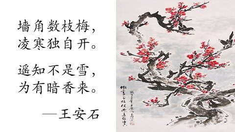 6 梅花魂