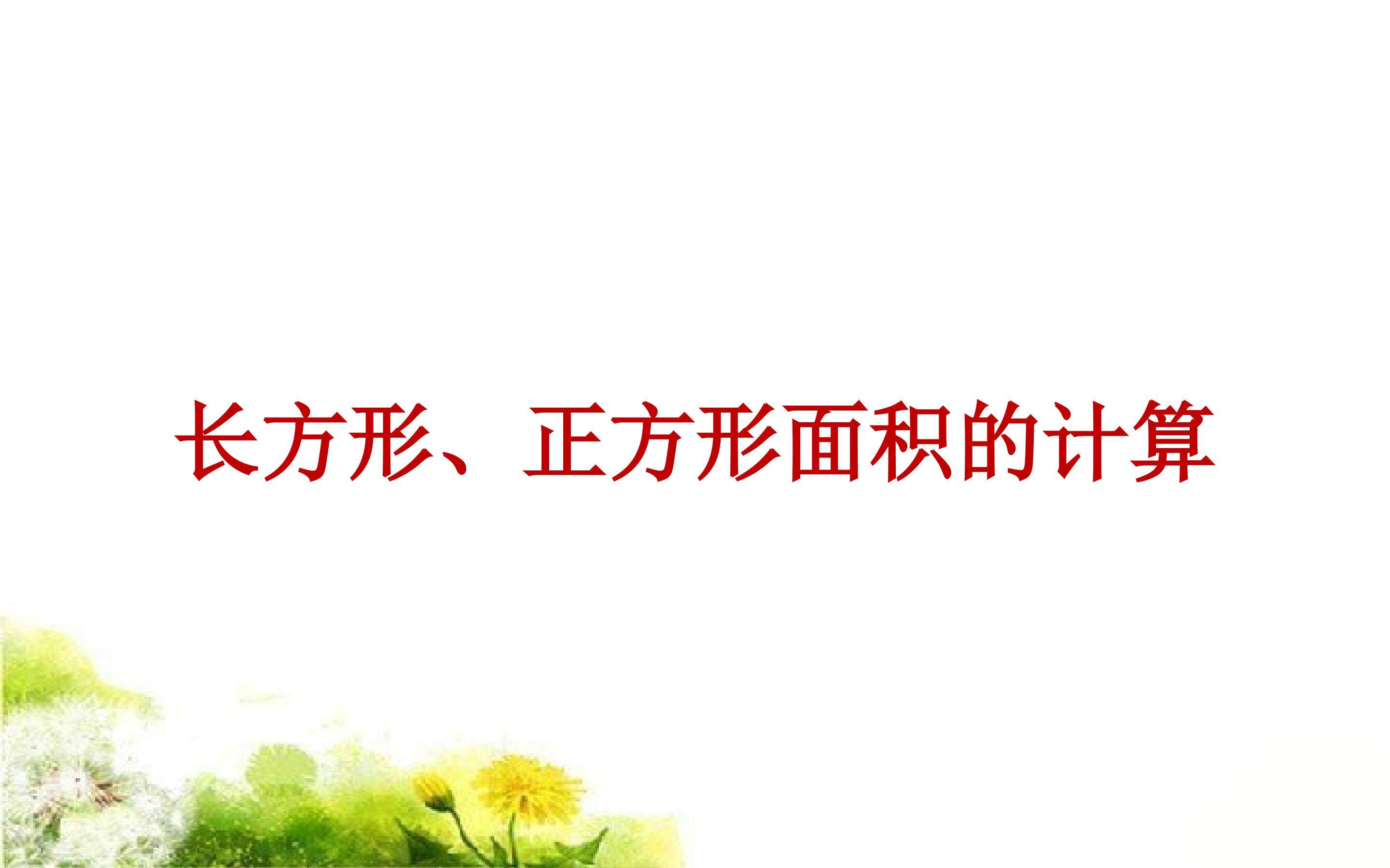 长方形，正方形面积计算