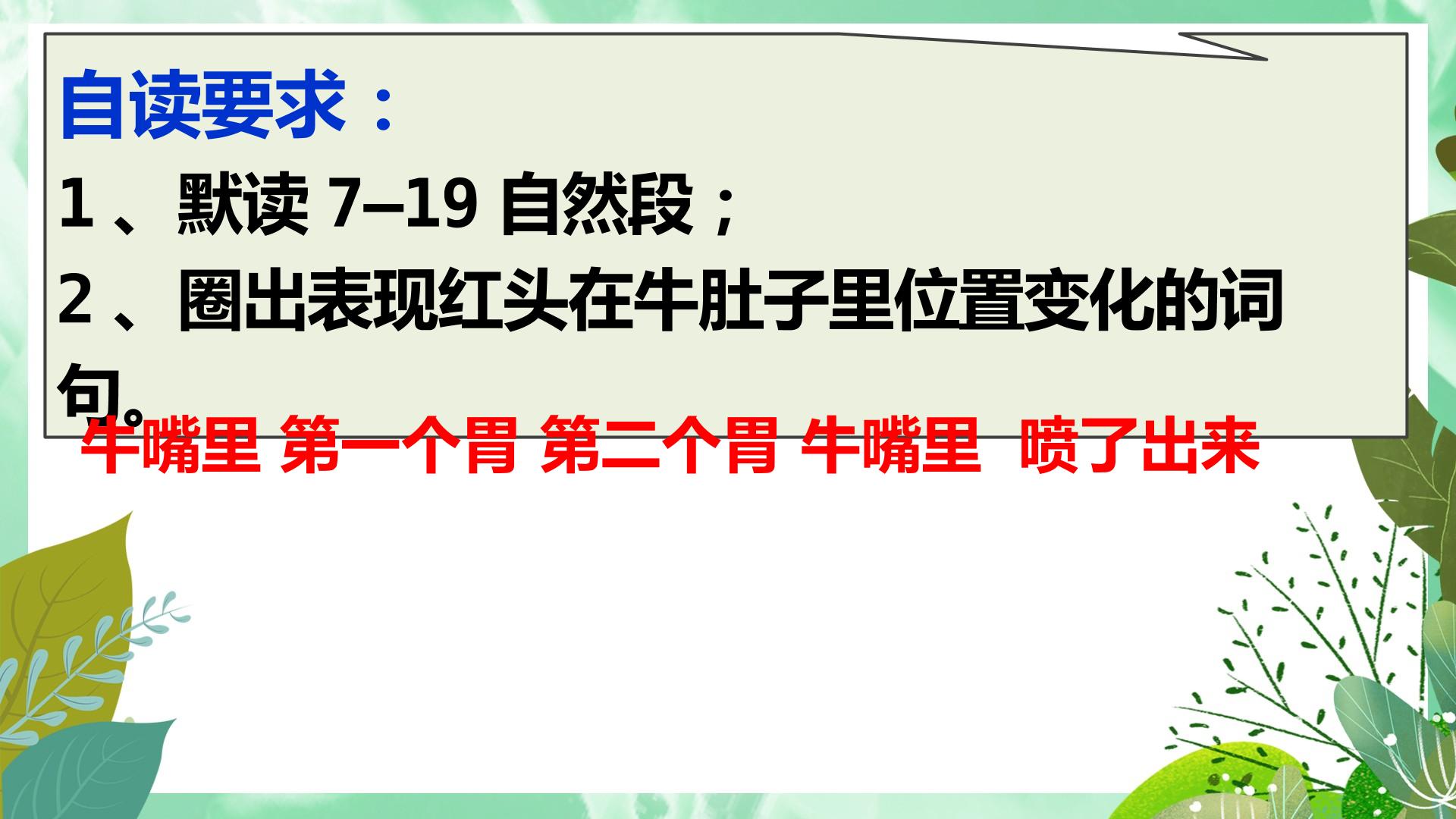 23.jpg