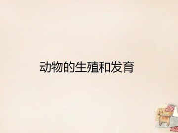 动物的生殖和发育_课件4