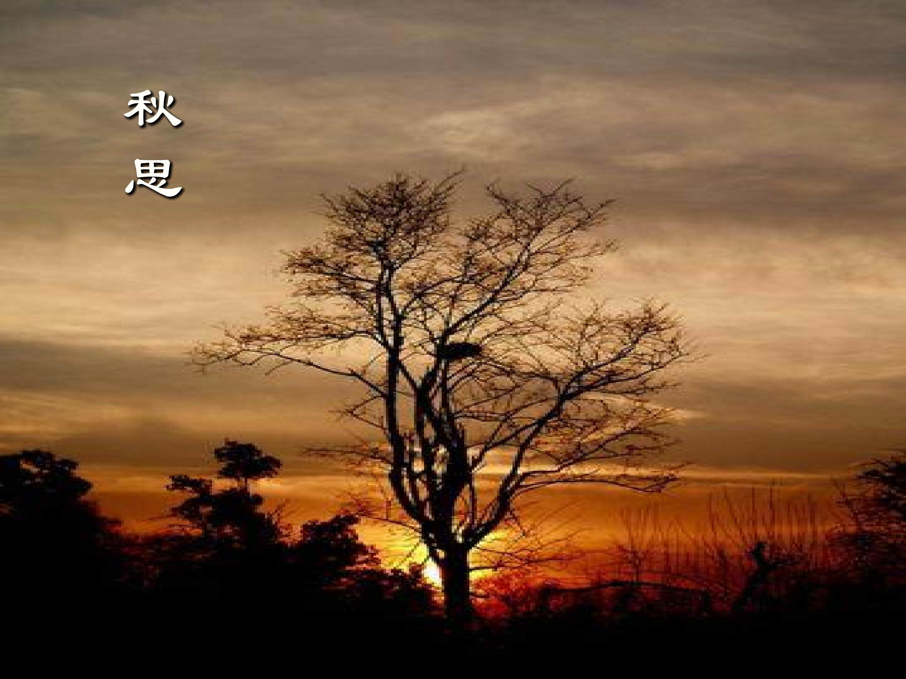 《天净沙 秋思》