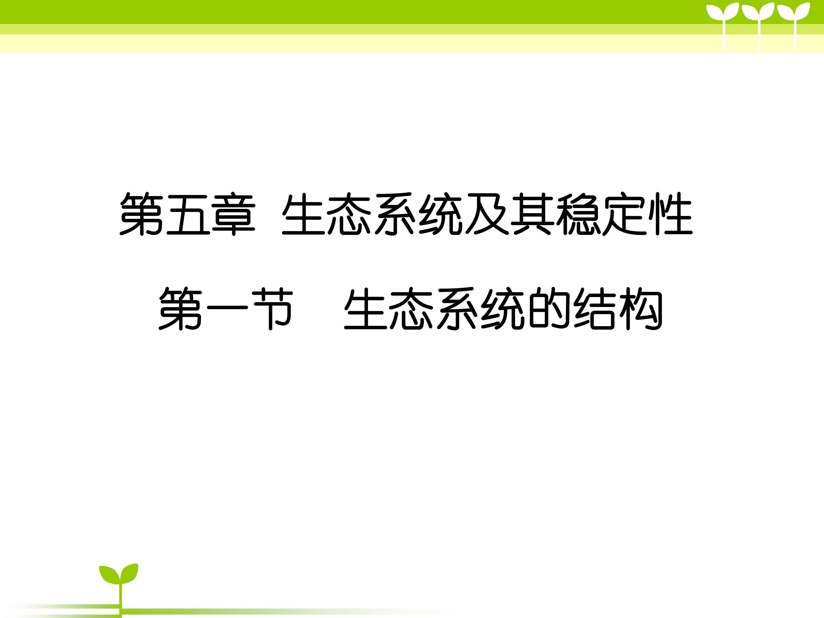 生态系统的结构
