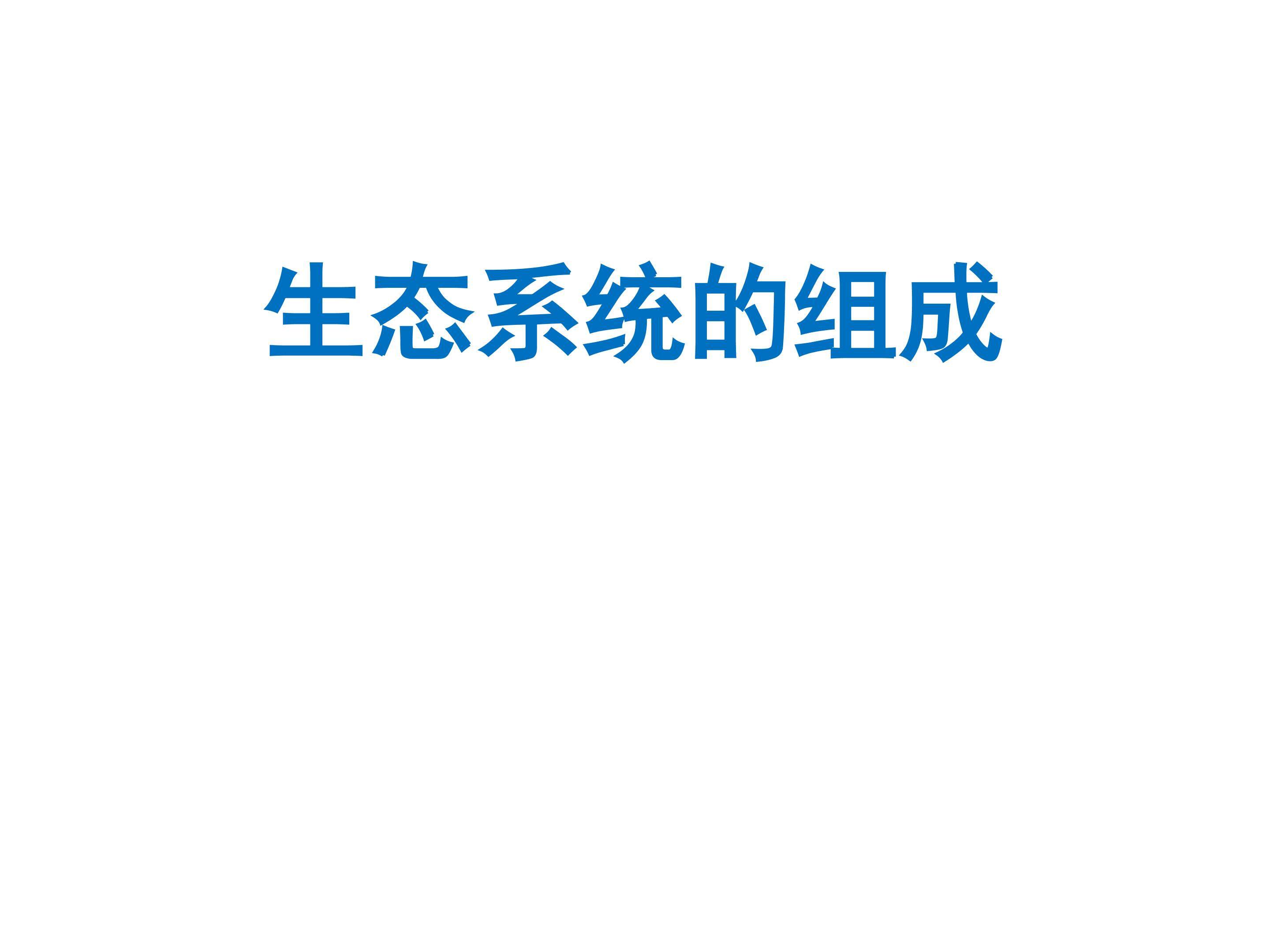 态系统的组成_课件1