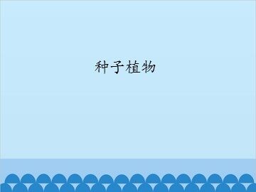 种子植物_课件1