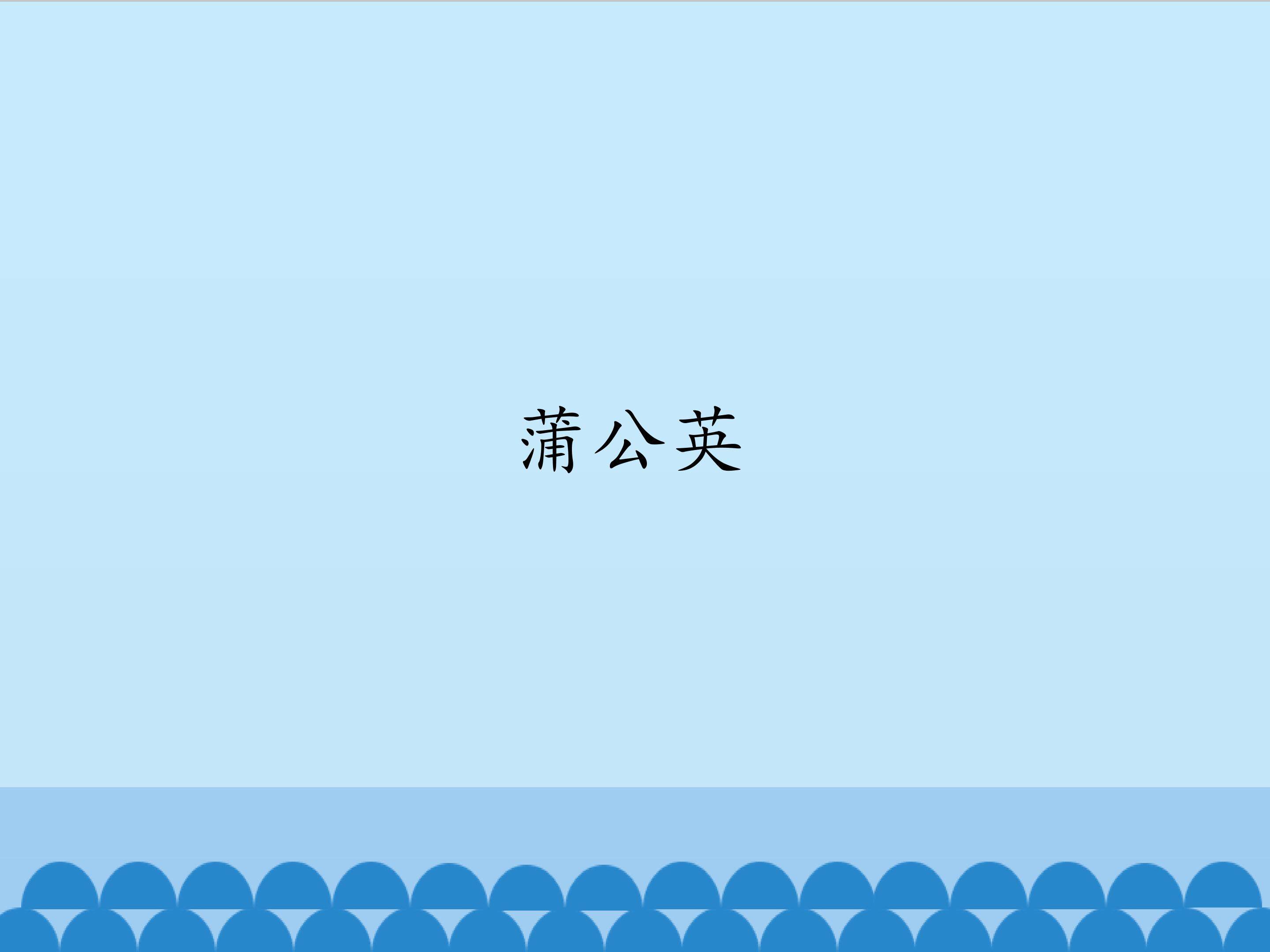 蒲公英_课件1