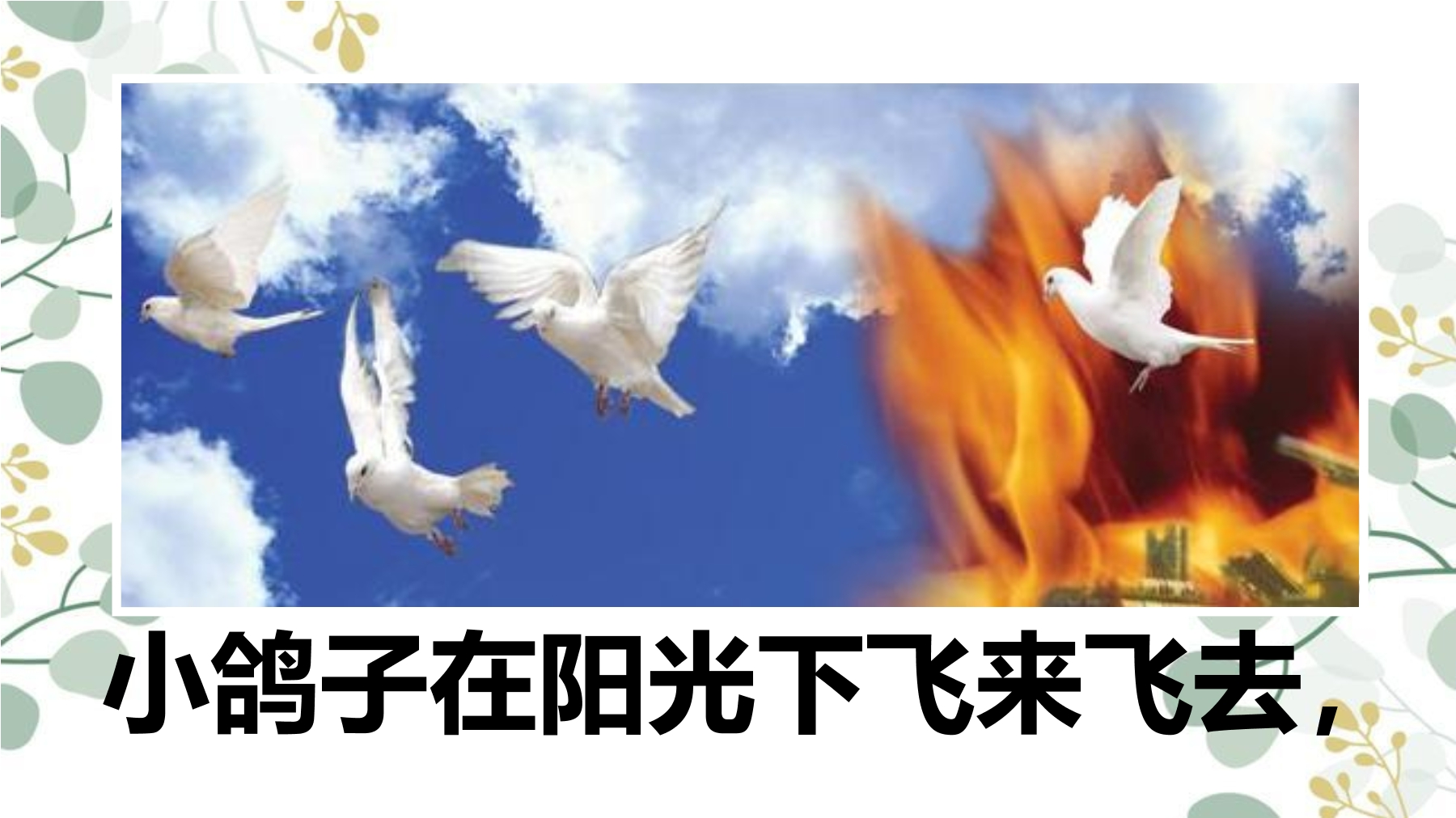 23.jpg