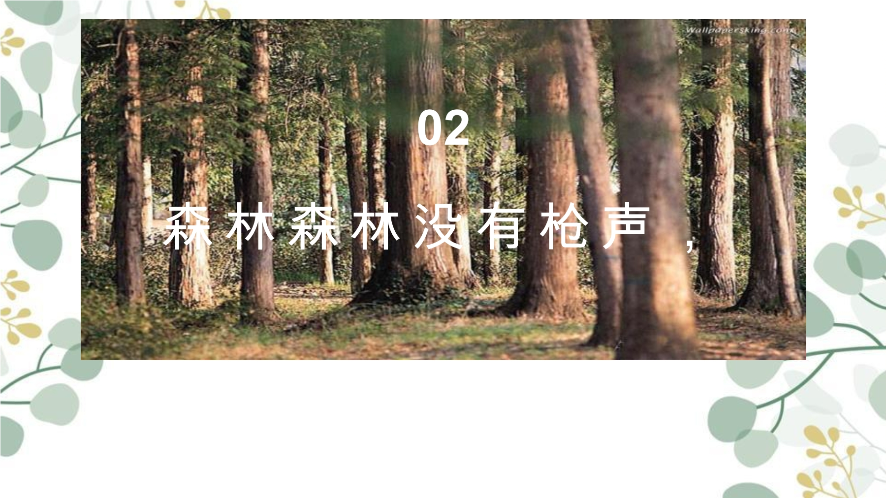 28.jpg