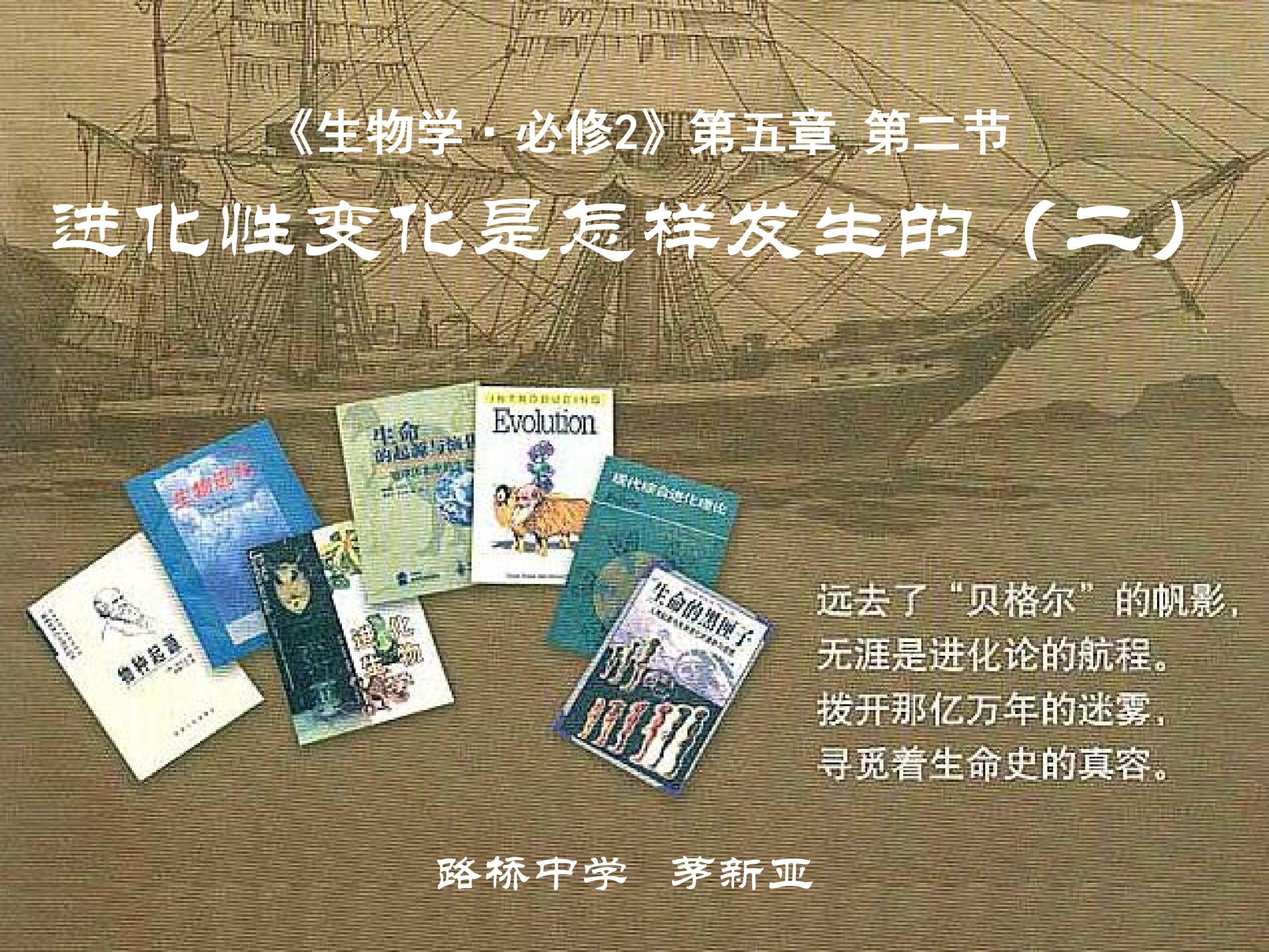 进化性变化是怎样发生的（第二课时）