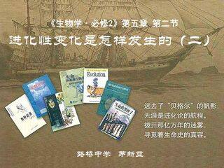 进化性变化是怎样发生的(第二课时)