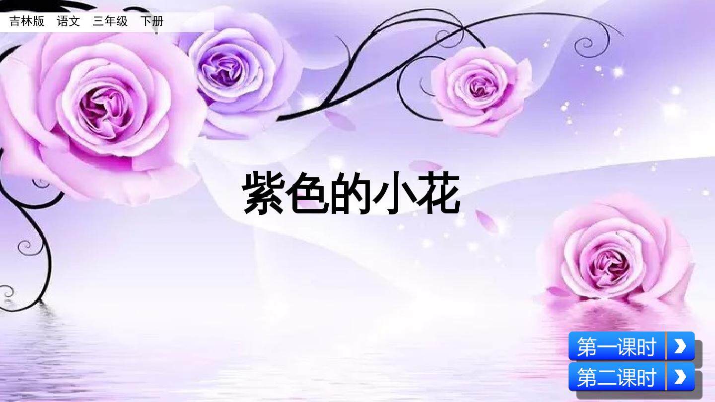 紫色的小花