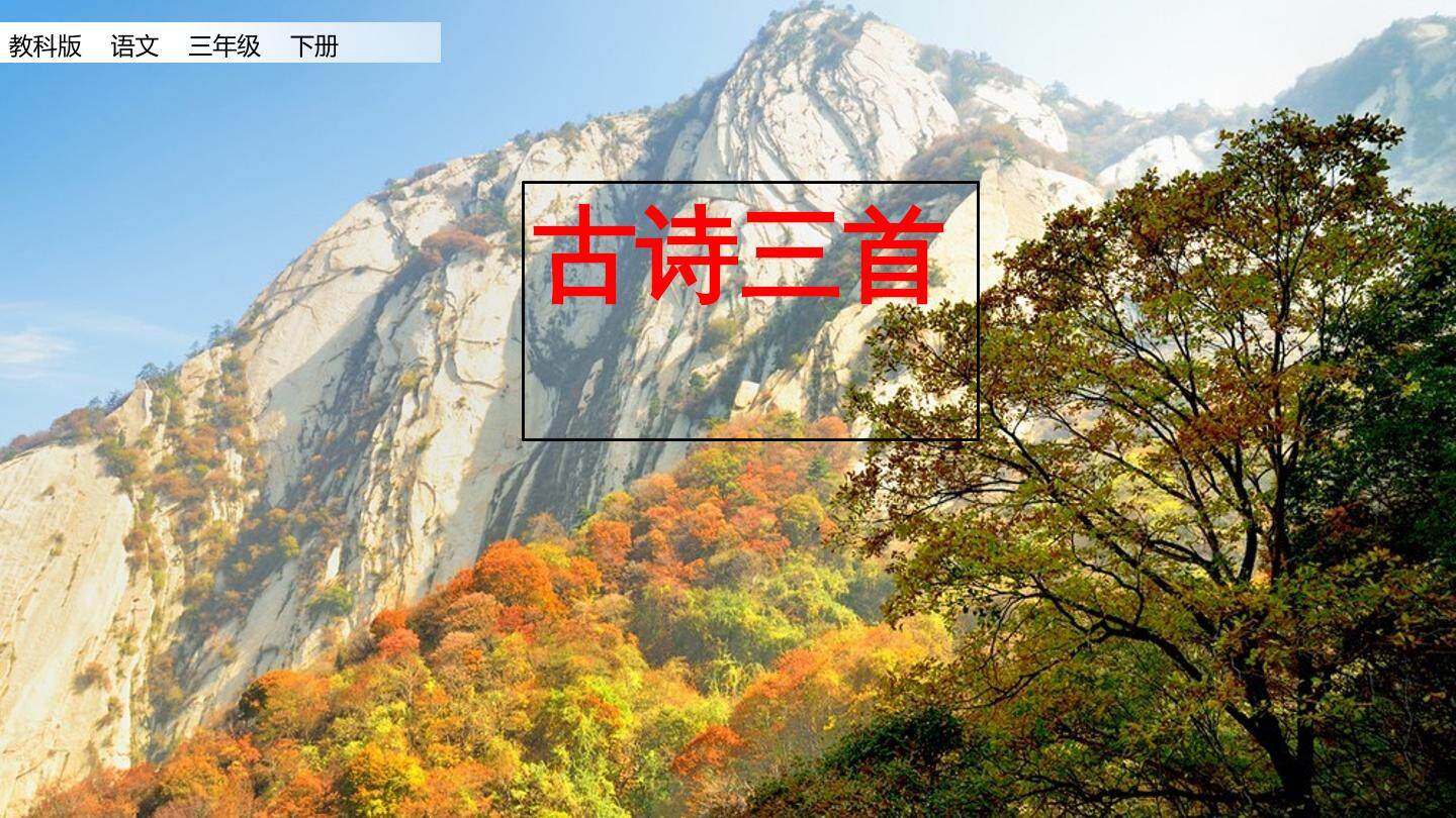 望洞庭