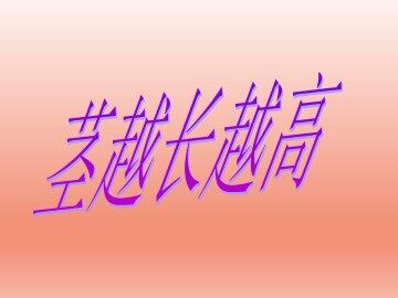 茎越长越高_课件1