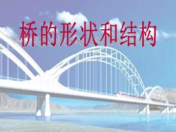 《桥的形状与结构》课件