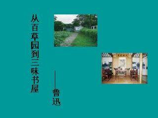 从百草园到三味书屋_课件16