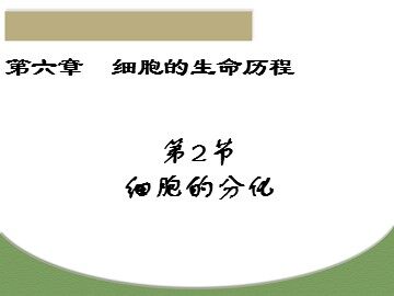 生物高中必修1第六章第二节课件5