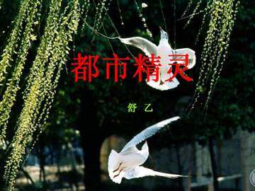 都市精灵_课件1