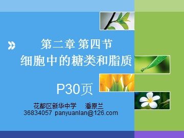 生物高中必修1第二章第四节课件3