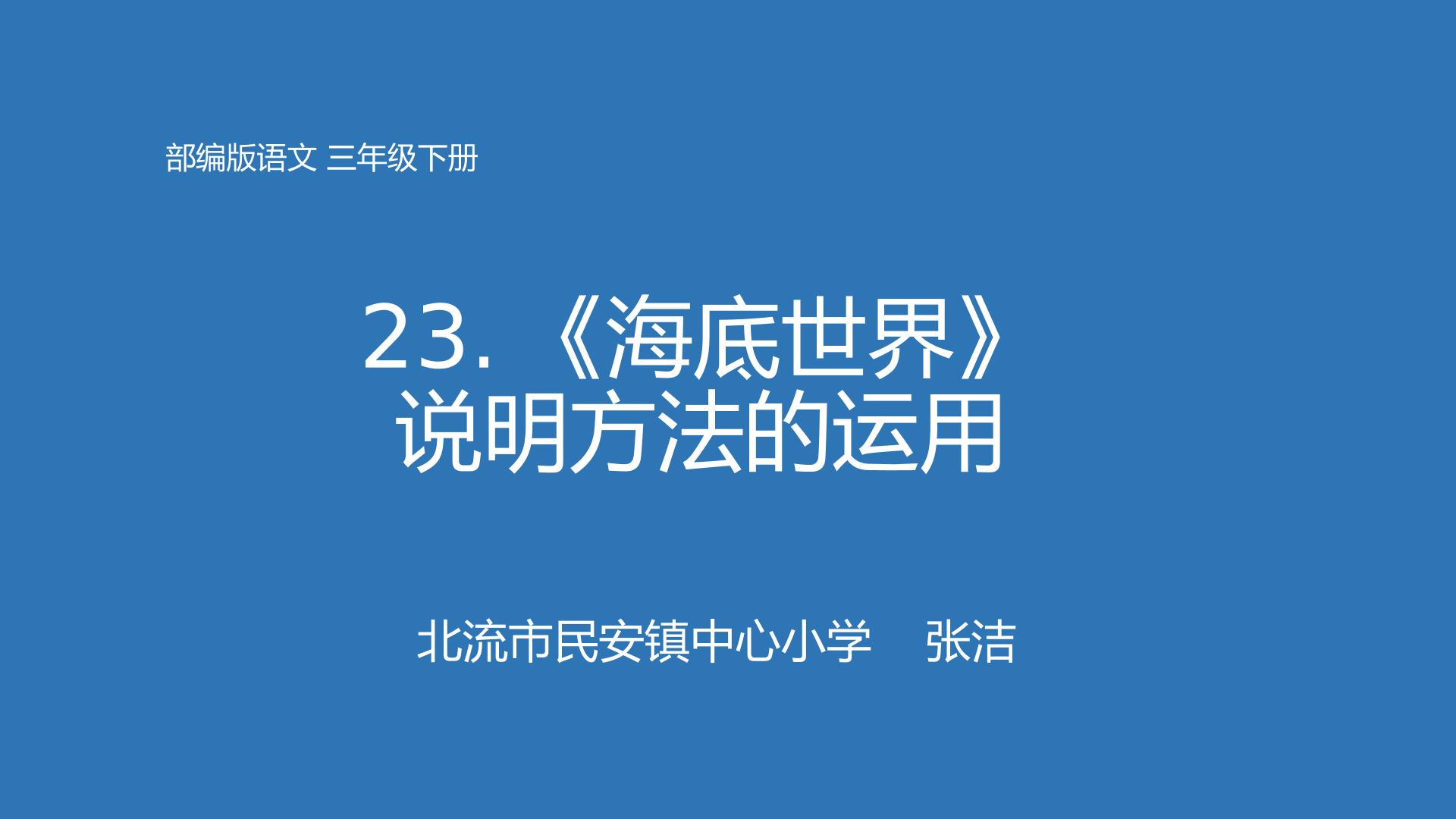 23海底世界说明方法的运用