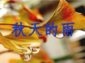 11 秋天的雨