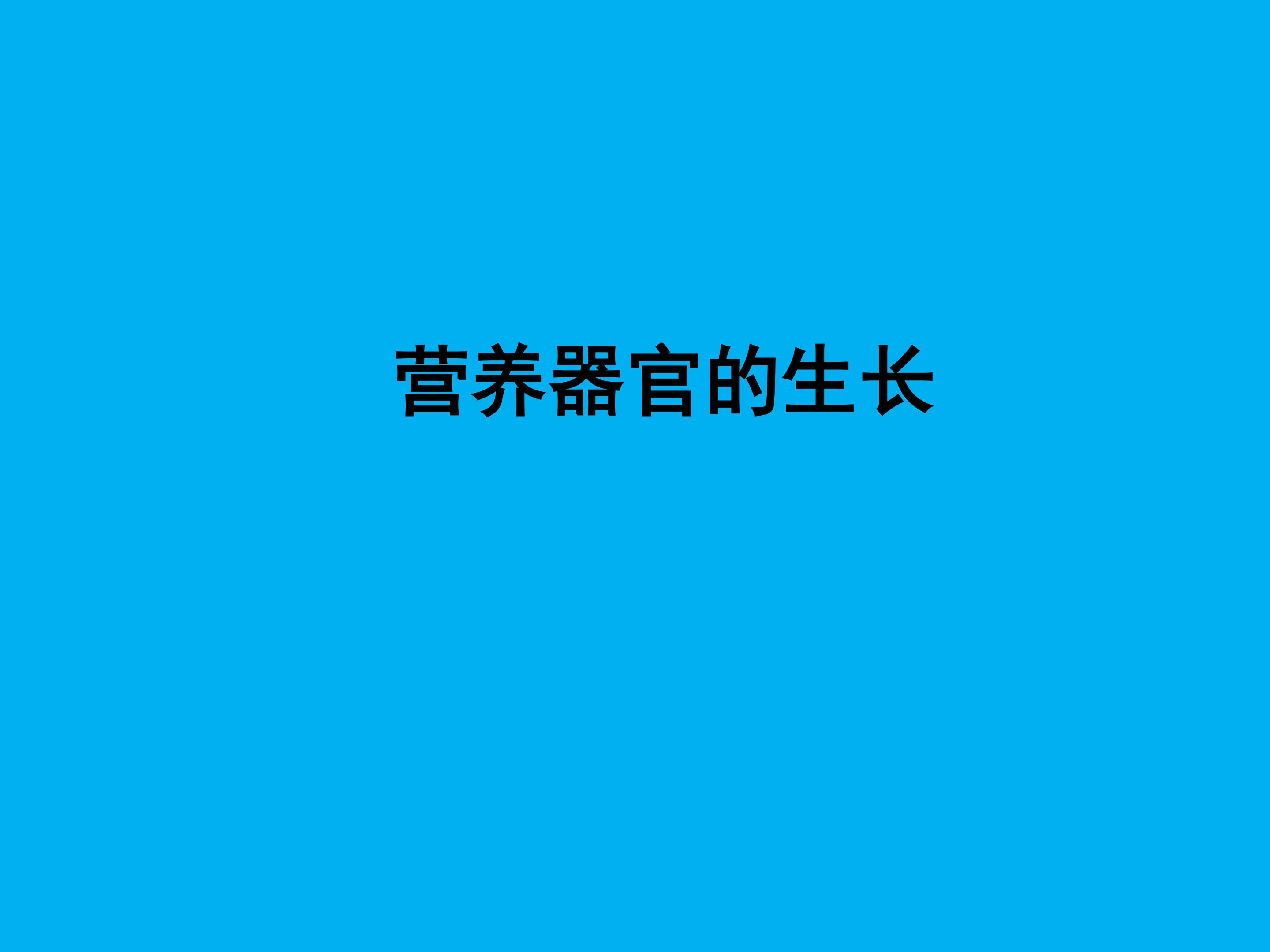 营养器官的生长_课件1