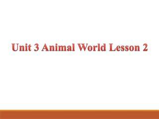 【课件】6年级上册英语人教版新起点Unit 3 Lesson 2 01