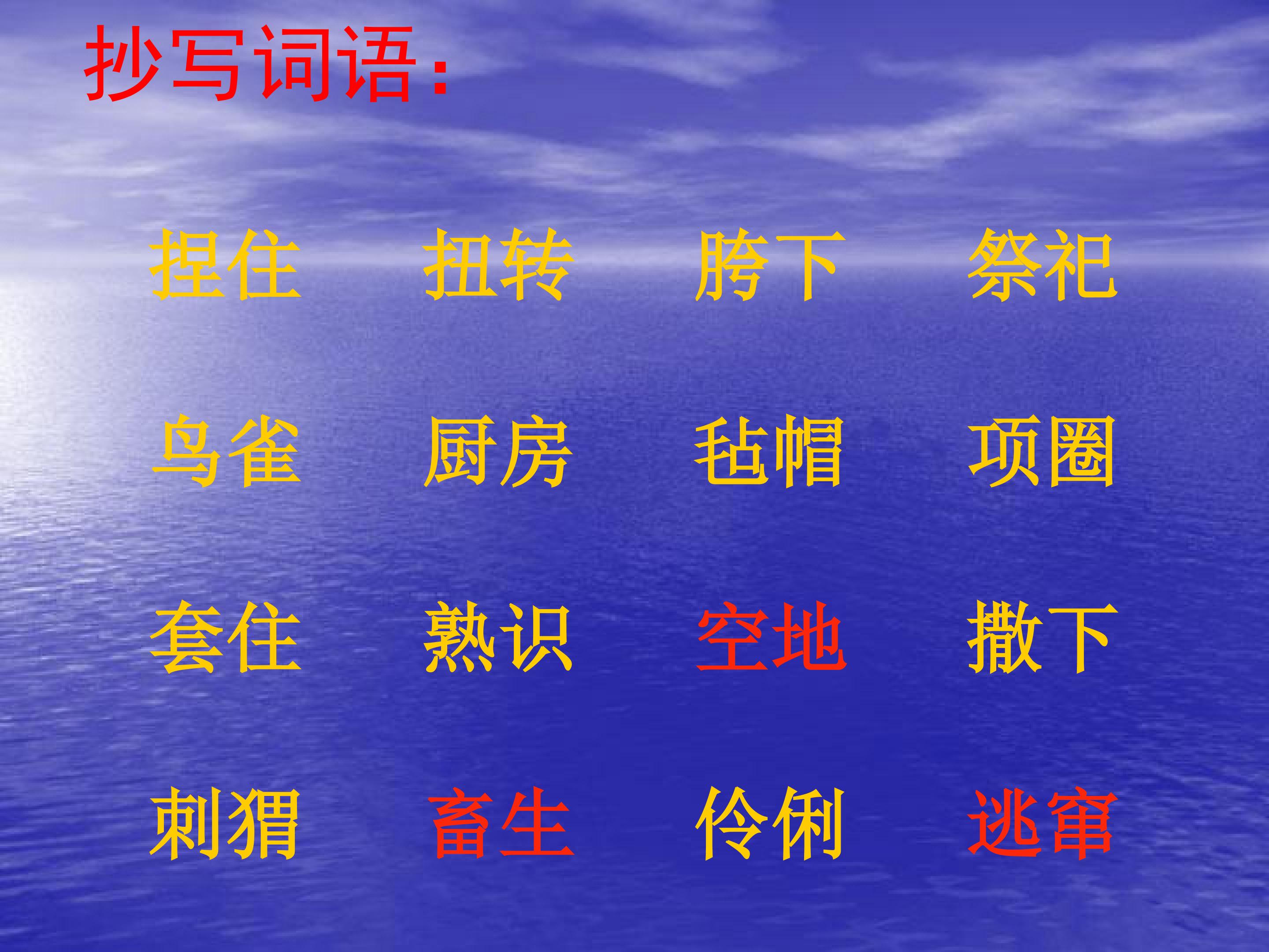 4.jpg