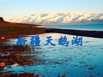 新疆天鹅湖_课件1