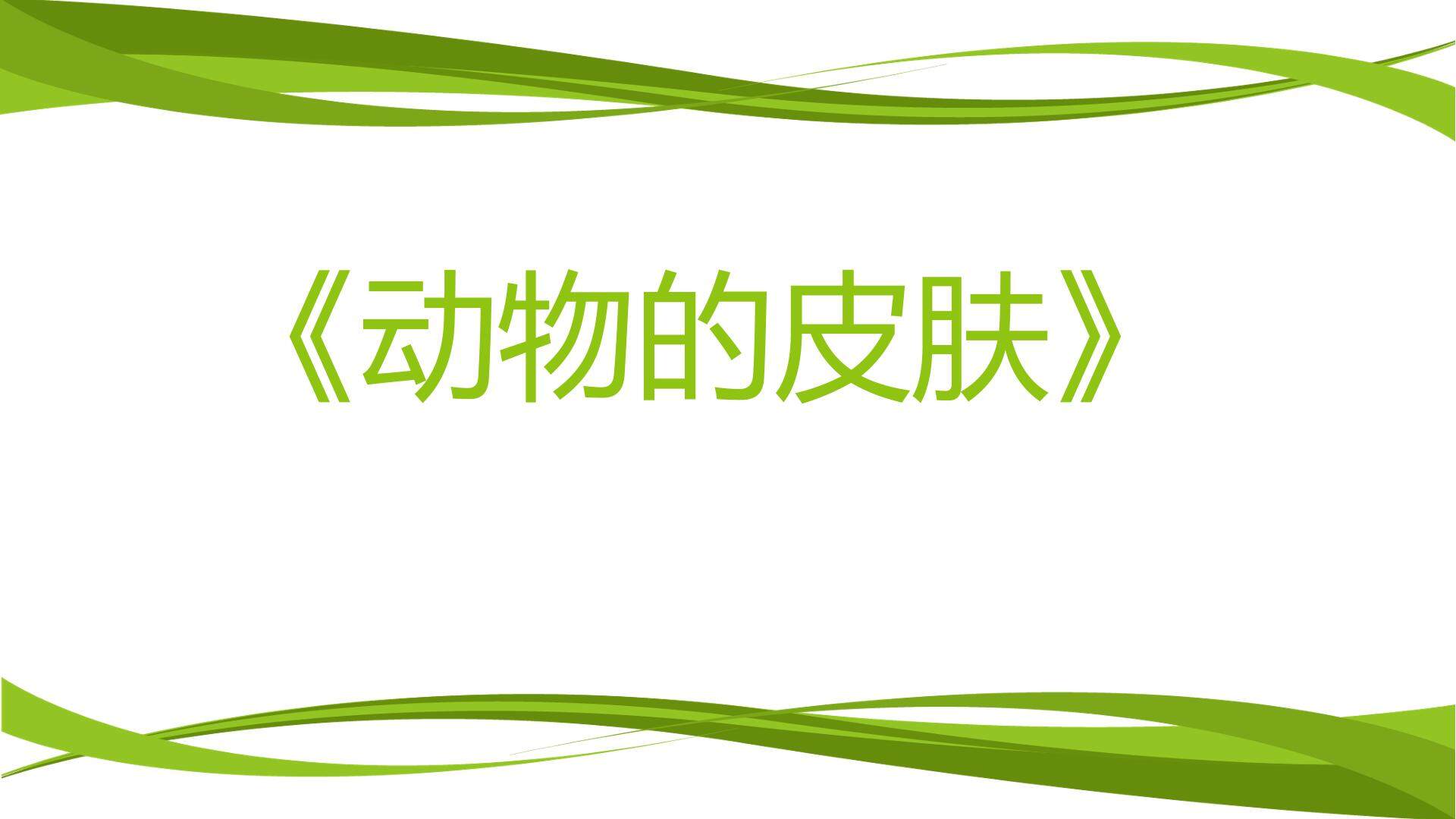 动物的皮肤