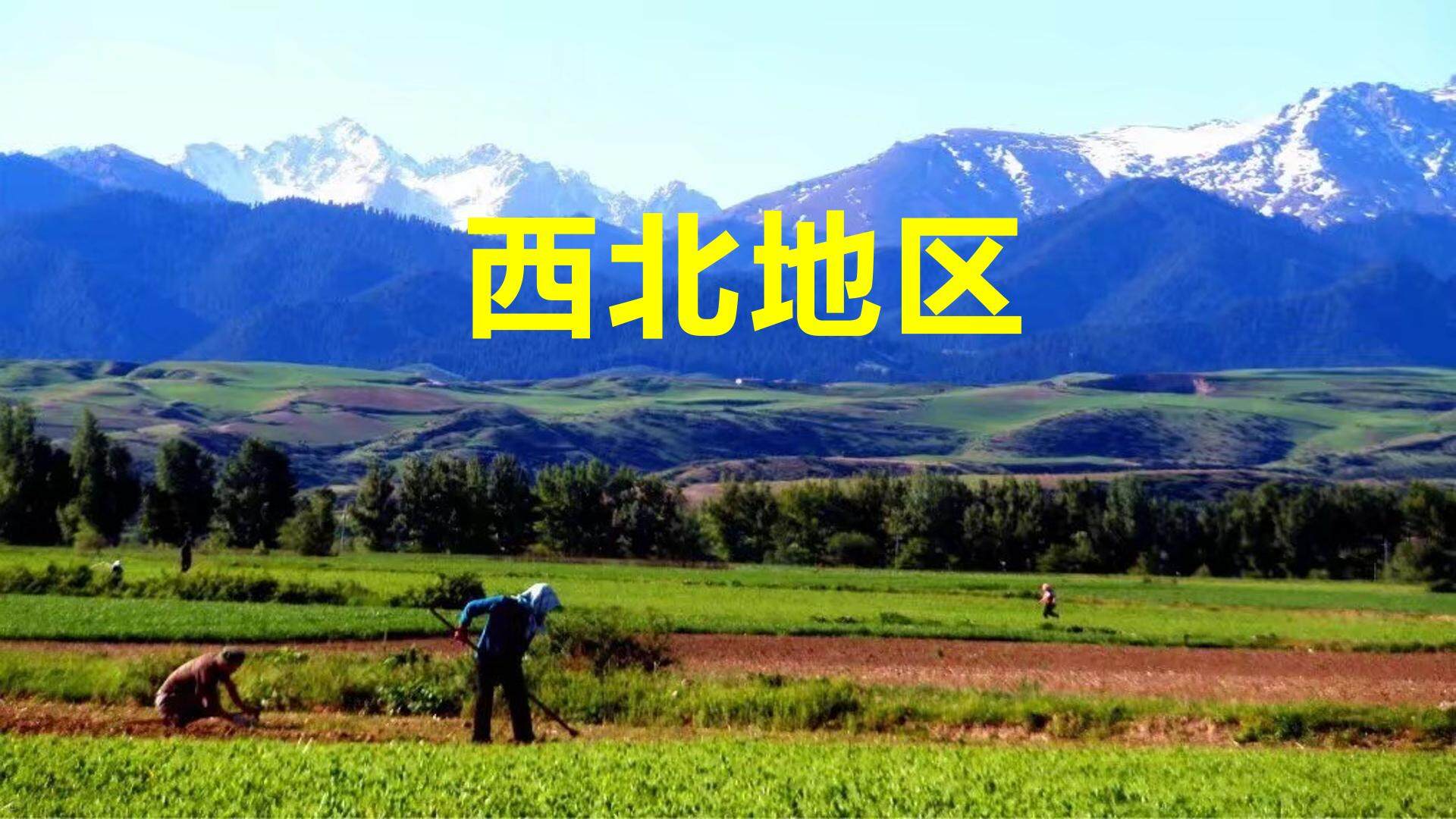 西北地区