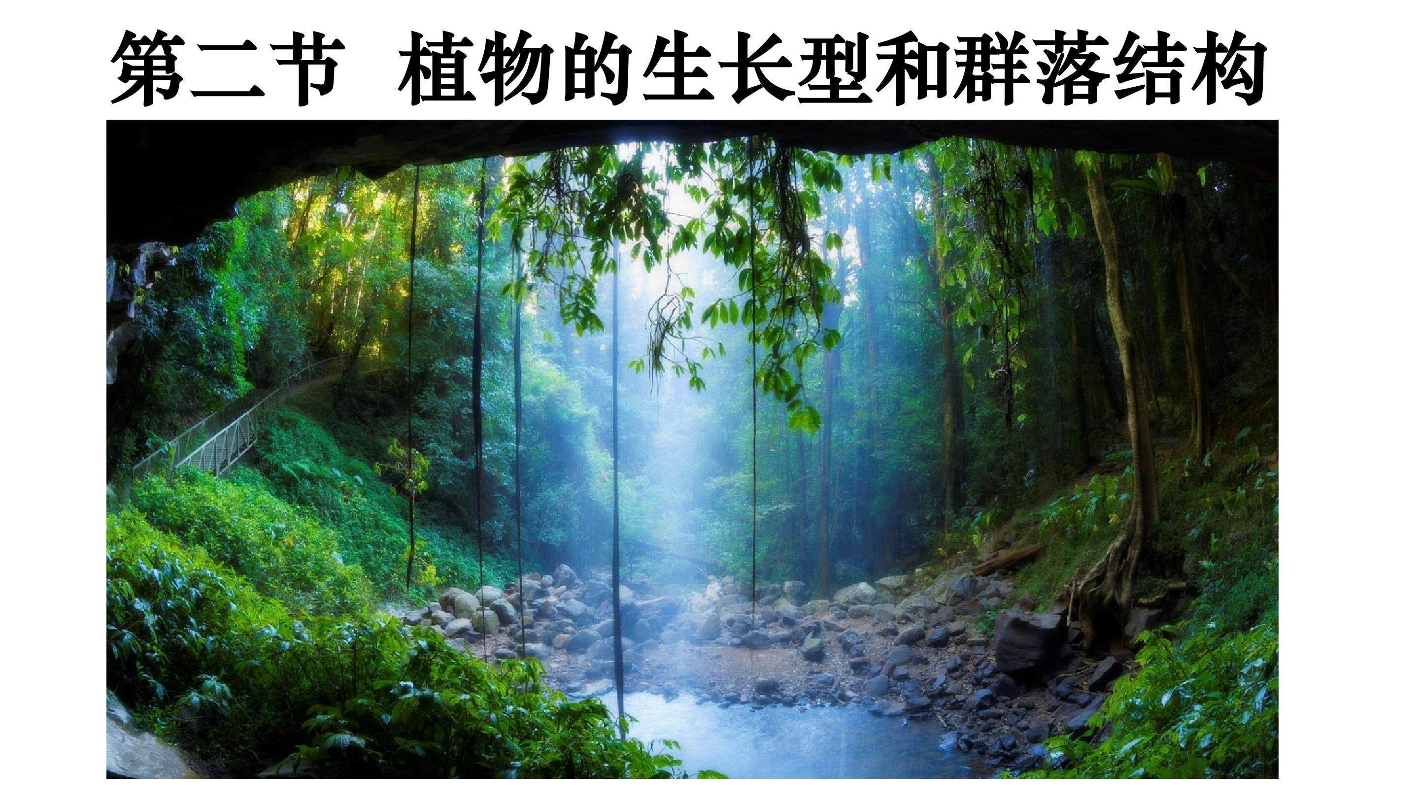 植物的生长型和群落结构