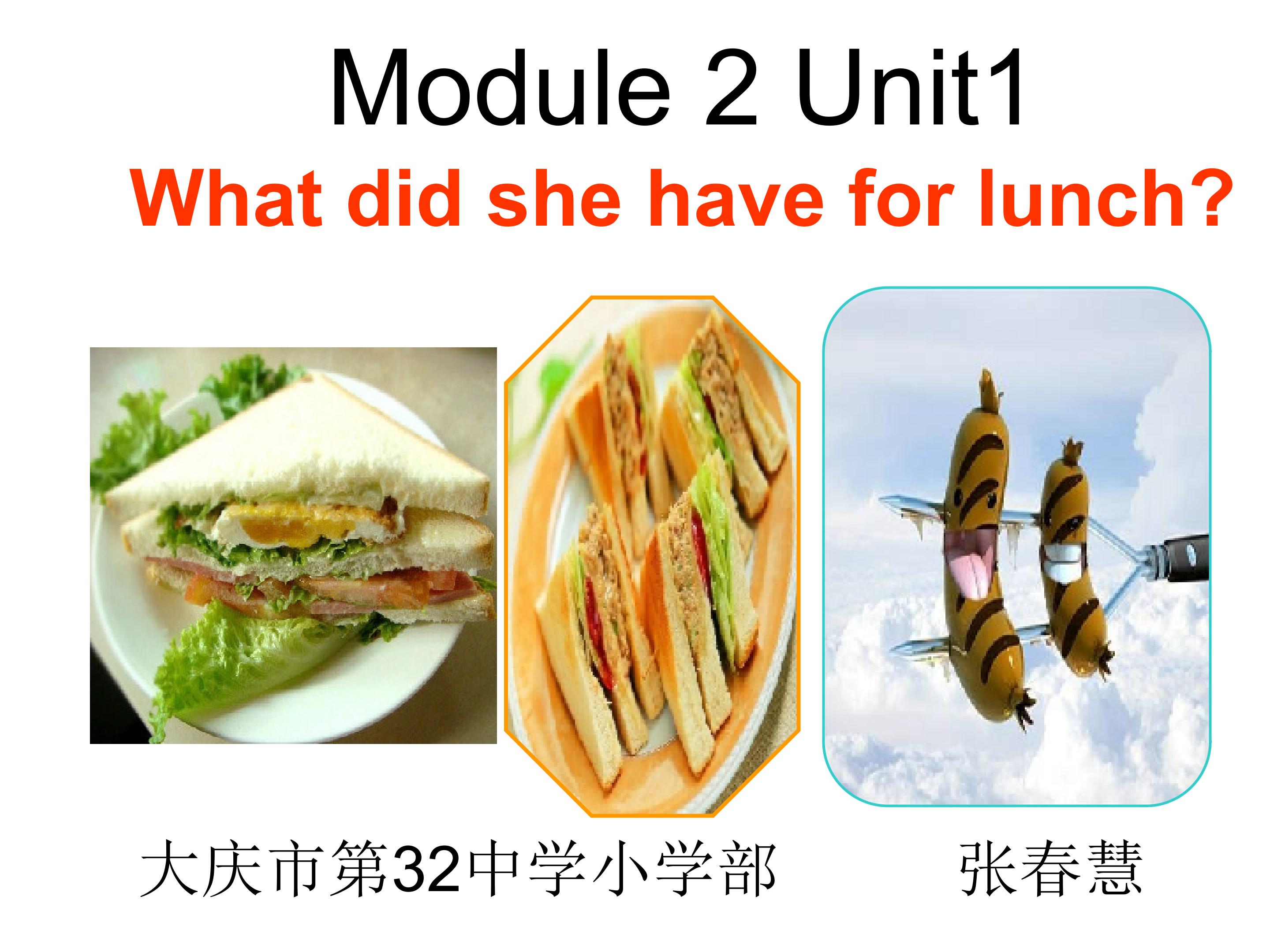 M2U1What did you have for lunch ?