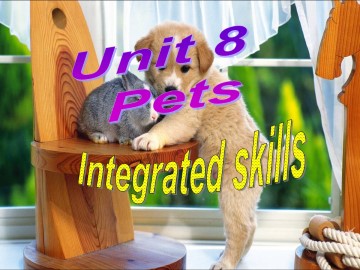 Unit 8 Pets_课件1