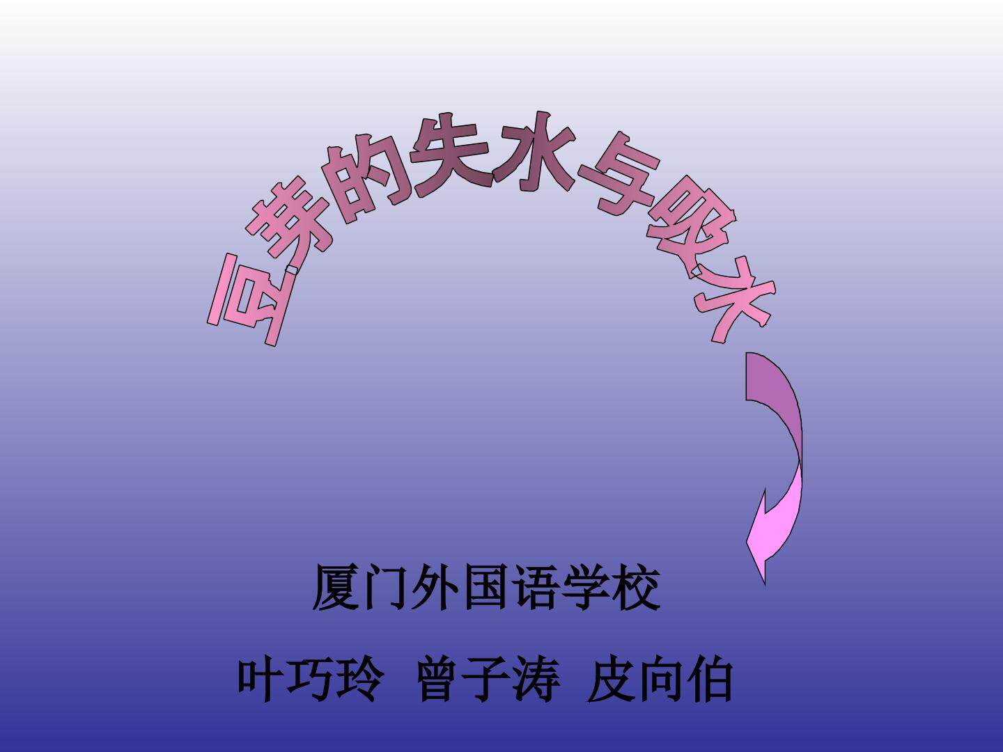 豆芽