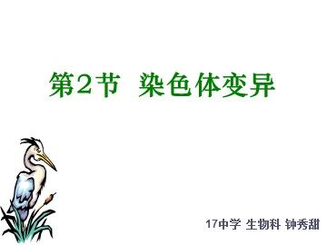 06第5章第2节染色体变异